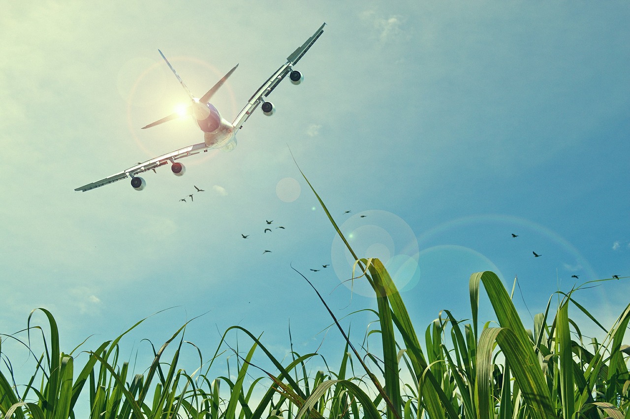 Illustrazione di un aeroplano