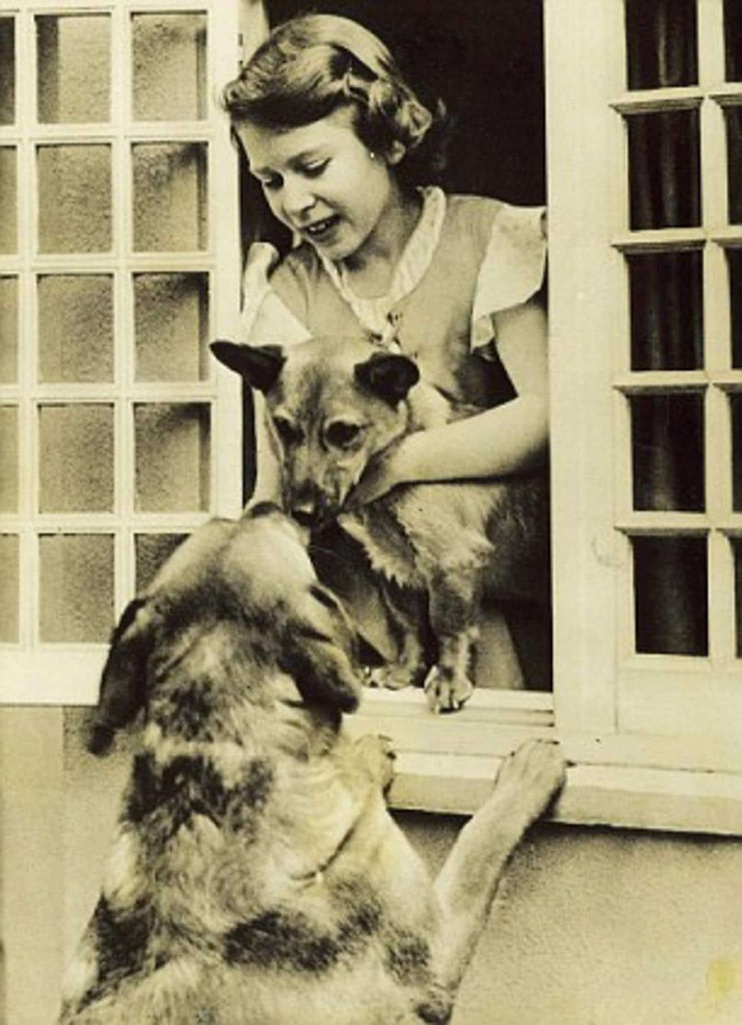La regina Elisabetta da bambina con i suoi cani