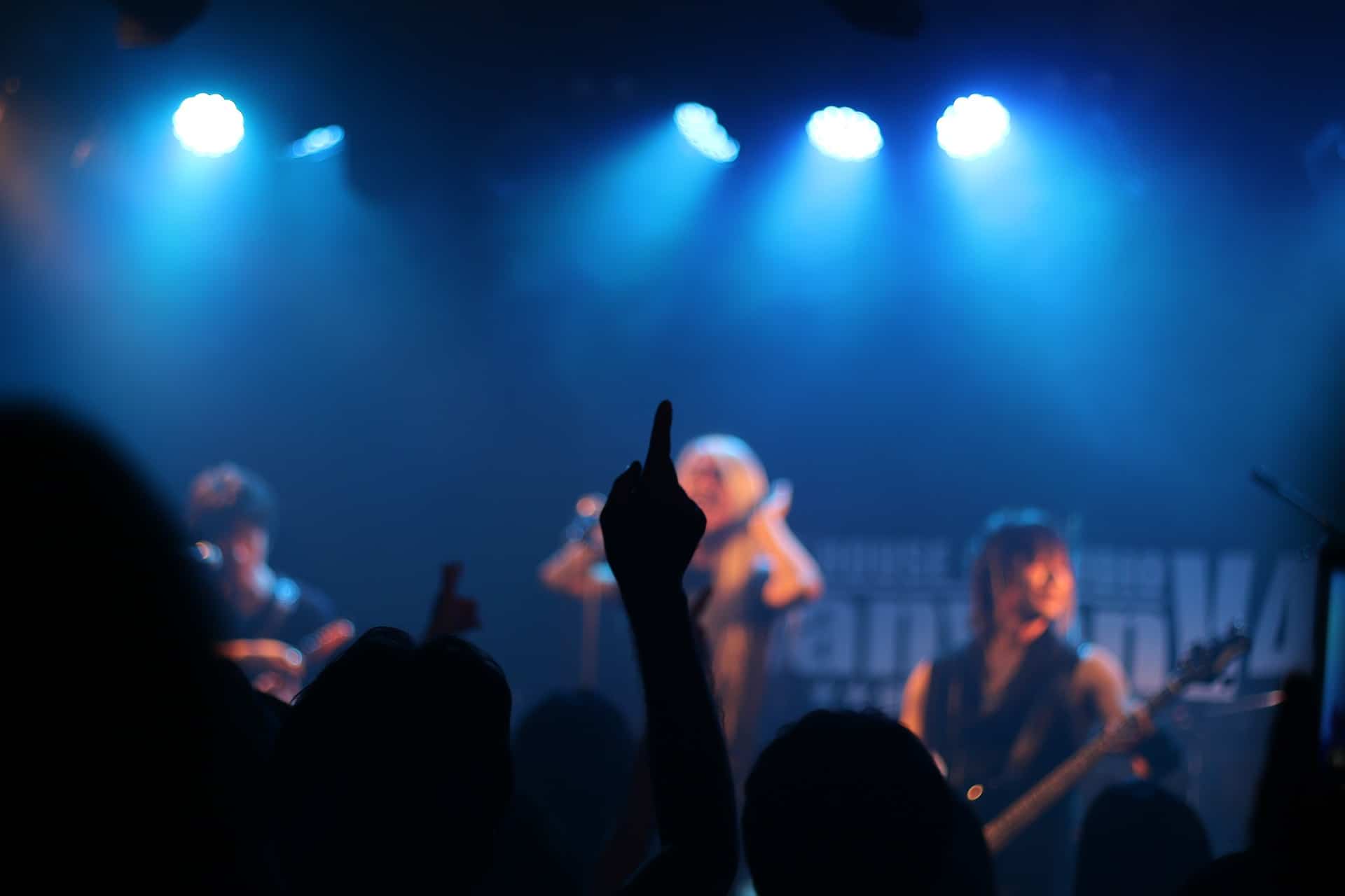 Performance ad un concerto