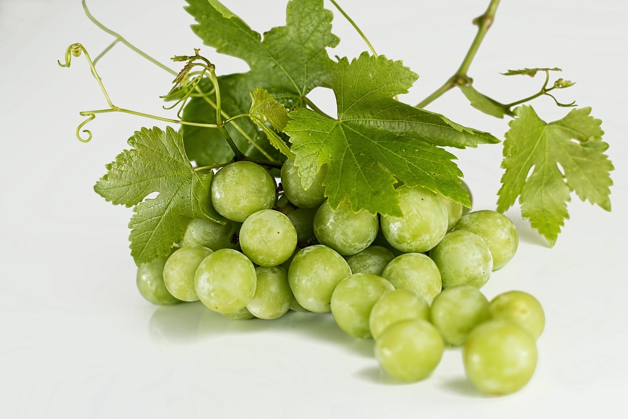 Grappolo di uva