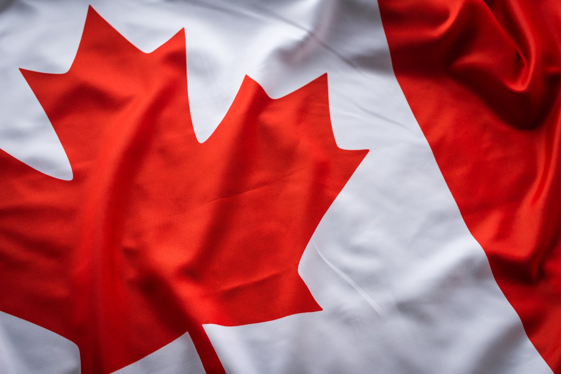 Bandiera canadese con simbolo della foglia d'acero stilizzata