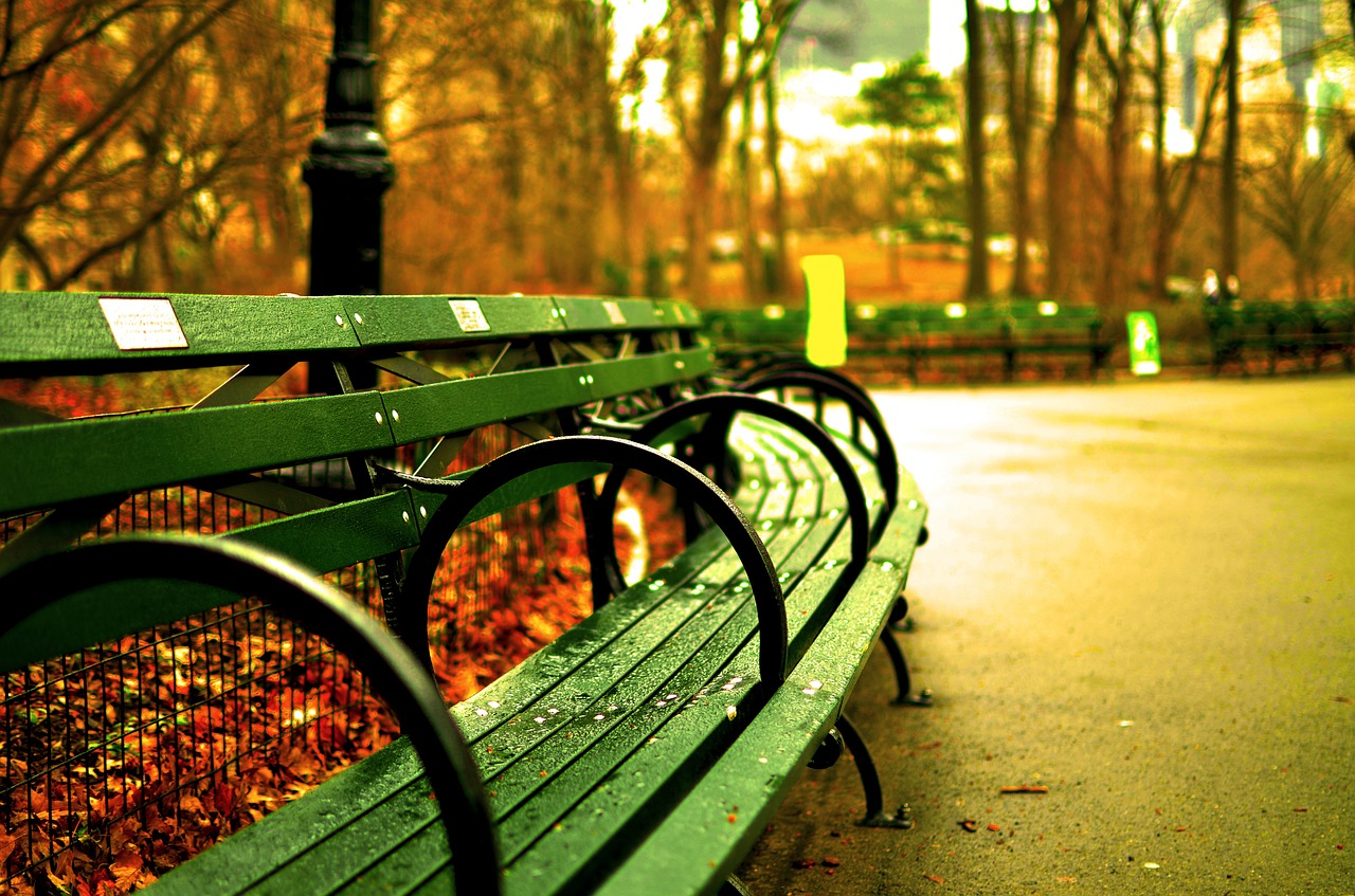 Central Park autunno New York
