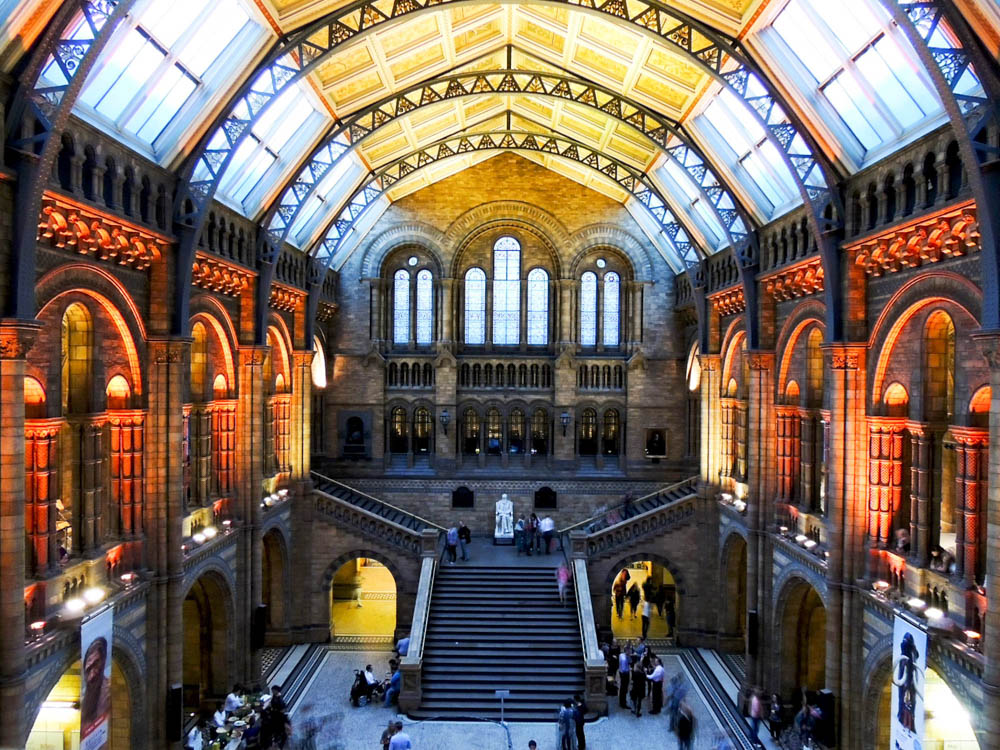 Museo di storia naturale Londra