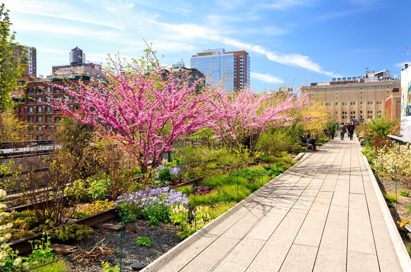 New York Primavera con fiori