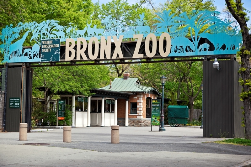Bronx Zoo New York