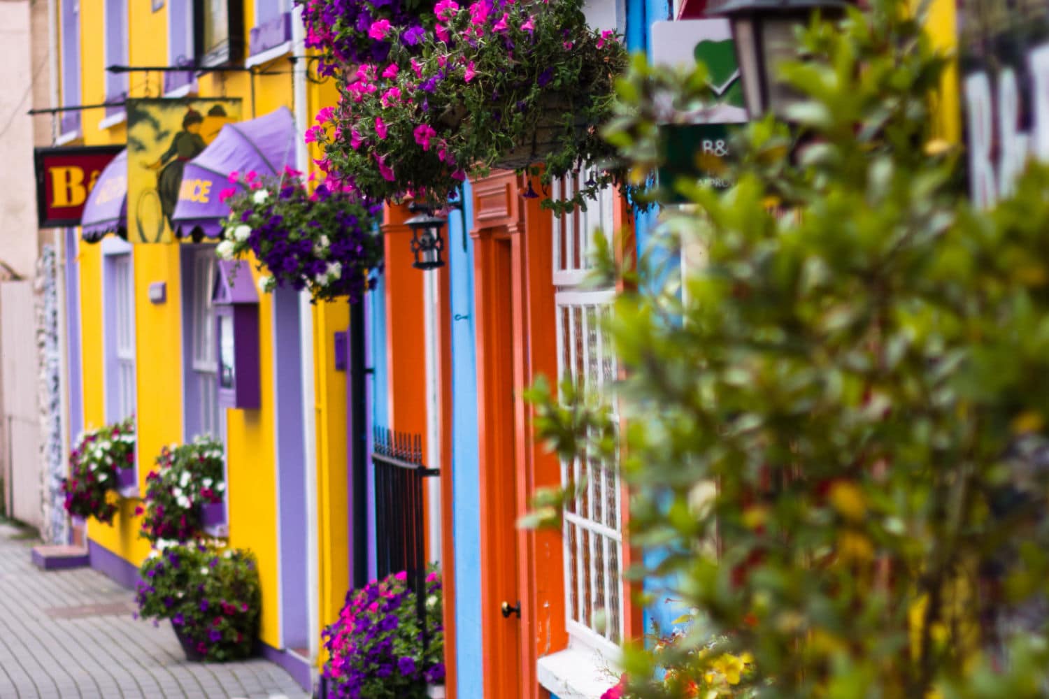 Stage Linguistici in Irlanda